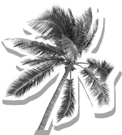 Illustration territoires — DOM et métropole