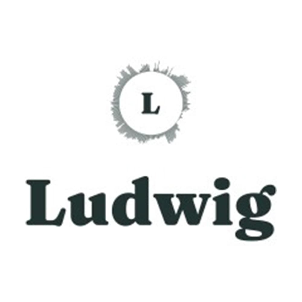 Logo LUDWIG CONSEIL