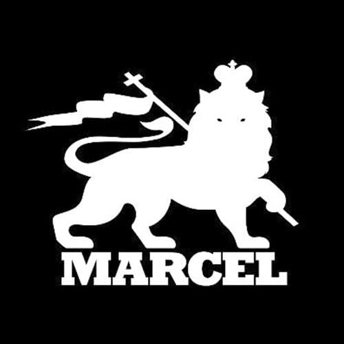 Logo MARCEL