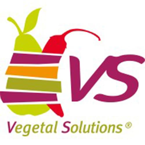 Logo VEGETAL SOLUTIONS