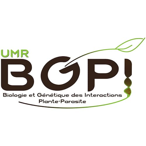 Logo BGPI