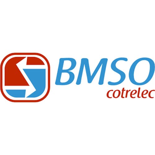 Logo BMSO