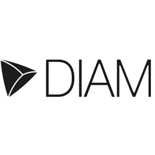Logo DIAM HOLDING