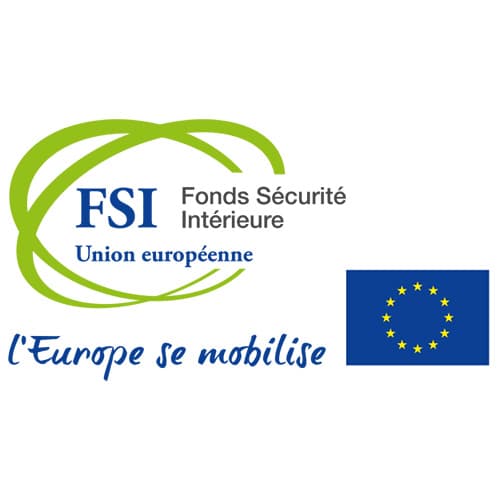 Logo FSI