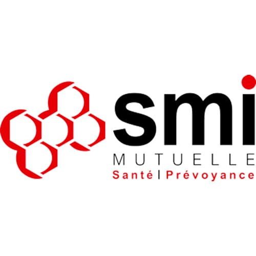 Logo SMI