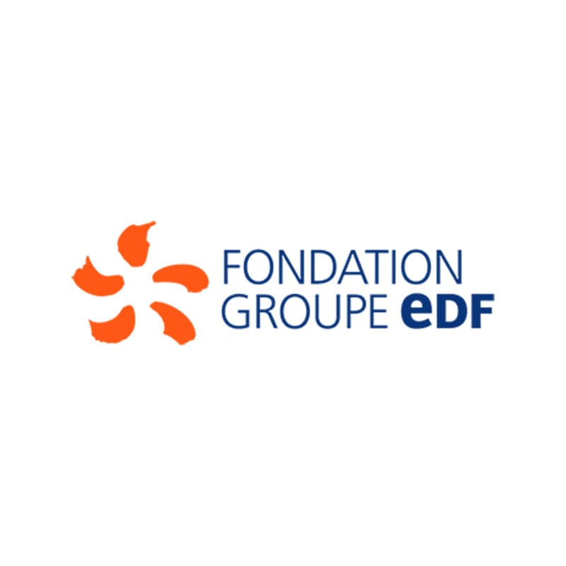Logo FONDATION EDF