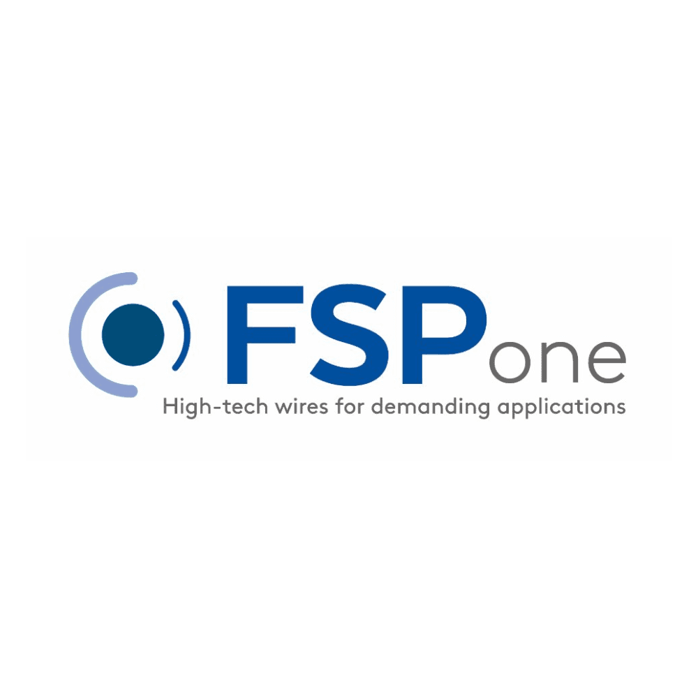 Logo FSP ONE